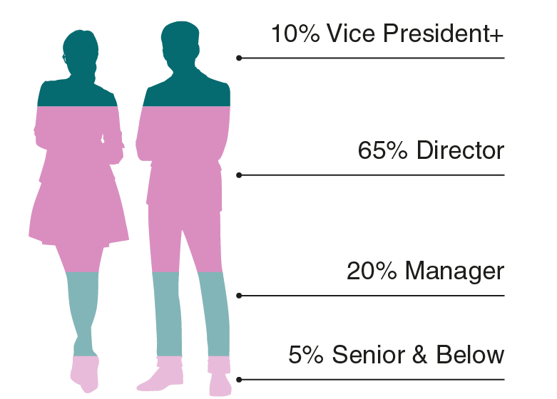 Audience Seniority Graph